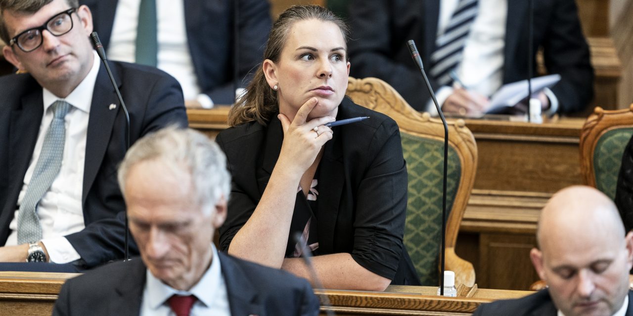 DEBAT: Ved Mette Abildgaard noget om dem, der søger Arne-pensionen?