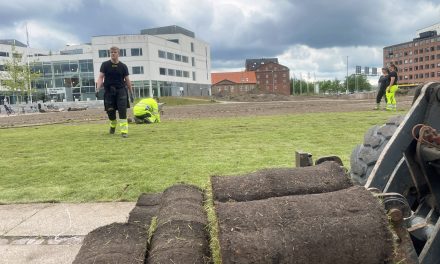Jens Otto Krags Plads kommer på græs – indtil videre
