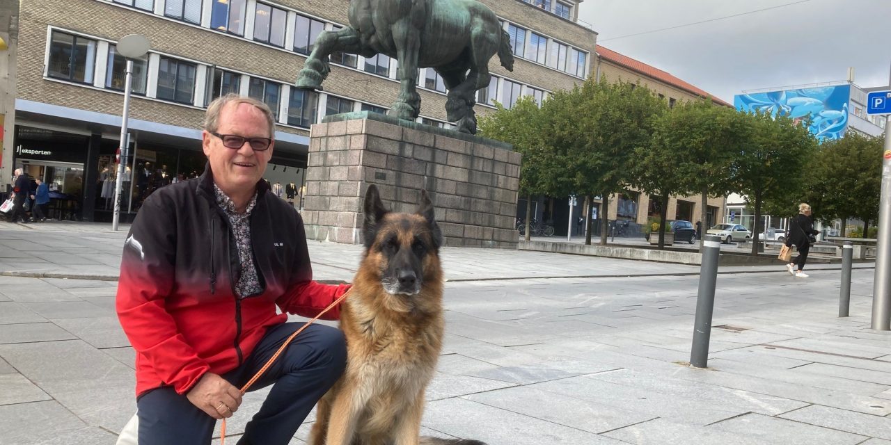 VM for Schæferhunde trækker masser af gæster til byen