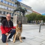 VM for Schæferhunde trækker masser af gæster til byen