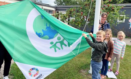 Vi flager: Bæredygtighed og biodiversitet på legepladsen