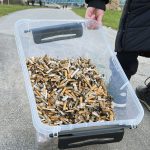 6.821 cigaretskodder samlet op i Randers