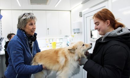 Frynseklinikken hjalp hunden Fanta