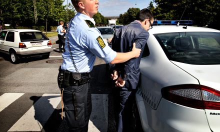 Mand ville ikke tjekkes: Stak af fra politiet og bed betjent i benet