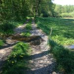 Sommerferie: Tag på tidsrejse med Randers Naturcenter