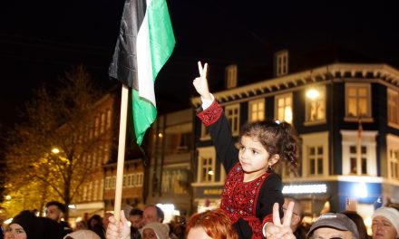 200 i demonstration til støtte for ofre i Palæstina
