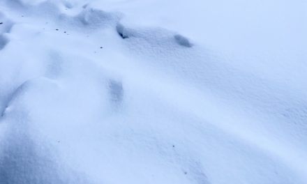 Rekord: Sneen er dybest nord for Randers