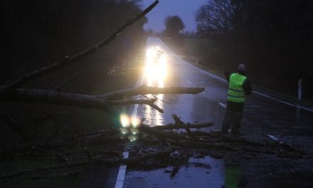 LIGE NU: Stormstød af orkanstyrke – væltede træer på stribe