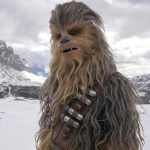 Starwars-ikon: Mød den ægte Chewbacca på tæt hold